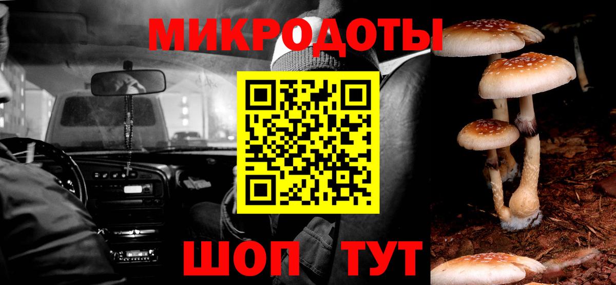 Галлюциногенные грибы Cubensis Кизилюрт