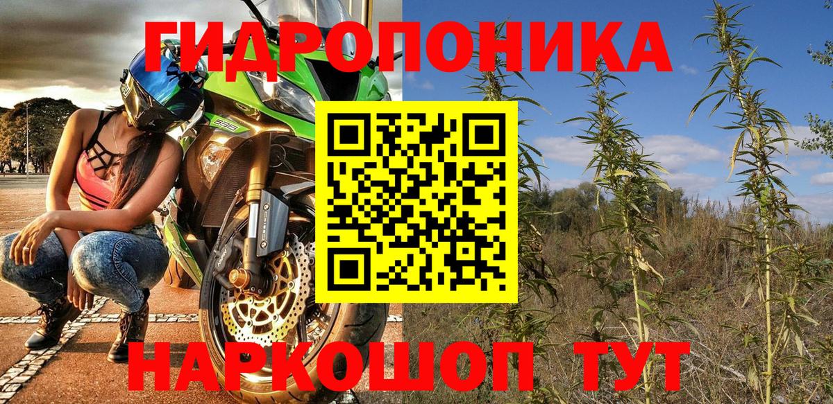 Шишки марихуана ГИДРОПОН Кизилюрт